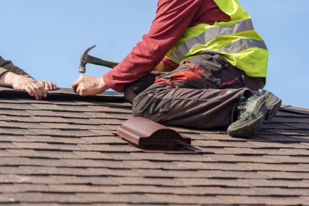 Best Roof Maintenance Services  in Park Rapids, MN