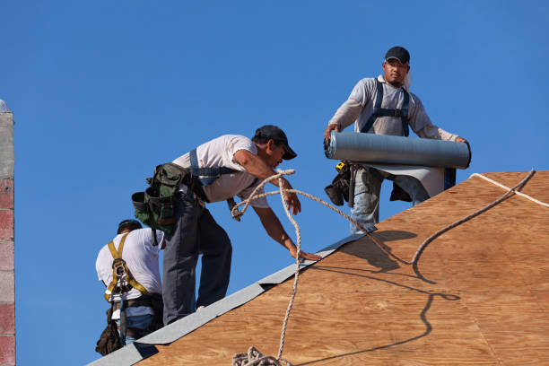 Best Roof Gutter Cleaning  in Park Rapids, MN
