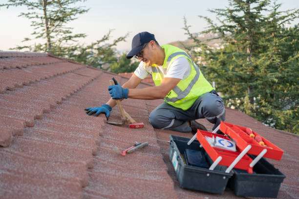 Best Storm Damage Roof Repair  in Park Rapids, MN